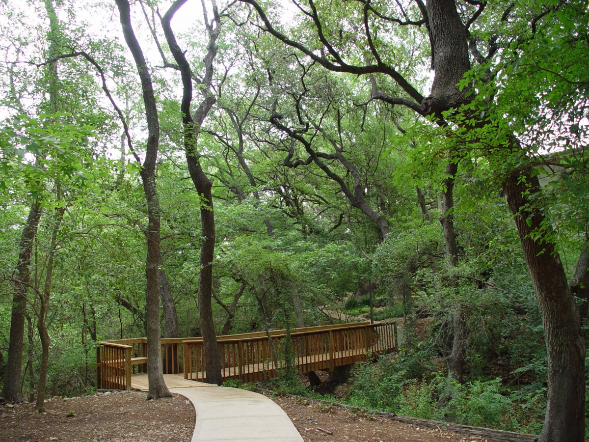 A serene forest pathway with a wooden bridge surrounded by lush green trees.