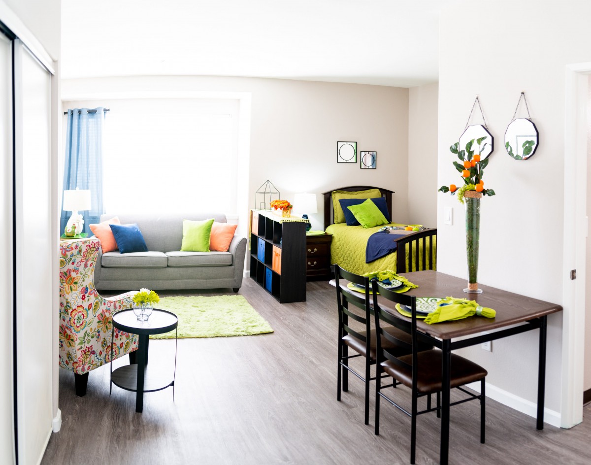 A bright and modern studio apartment with a cohesive design integrating the living and sleeping areas.
