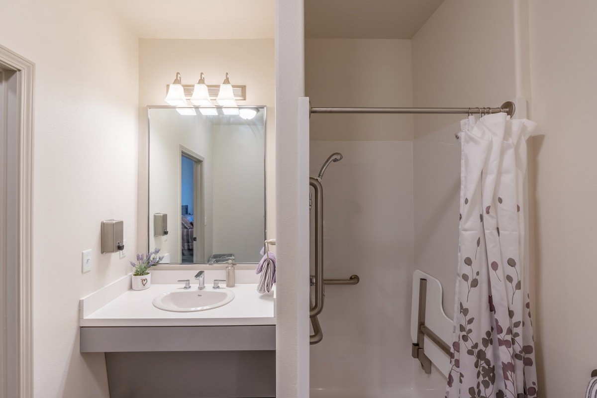 A modern bathroom with a sink, mirror, and accessible shower equipped with handrails.