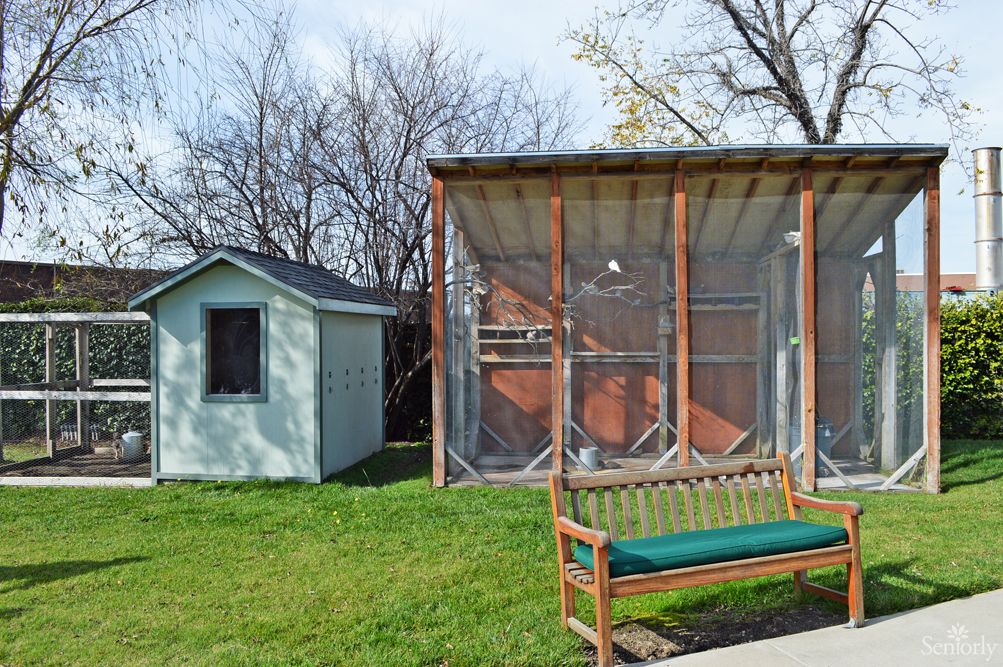 An outdoor scene with a bench in front of a small shed and an enclosed structure on a grassy area.