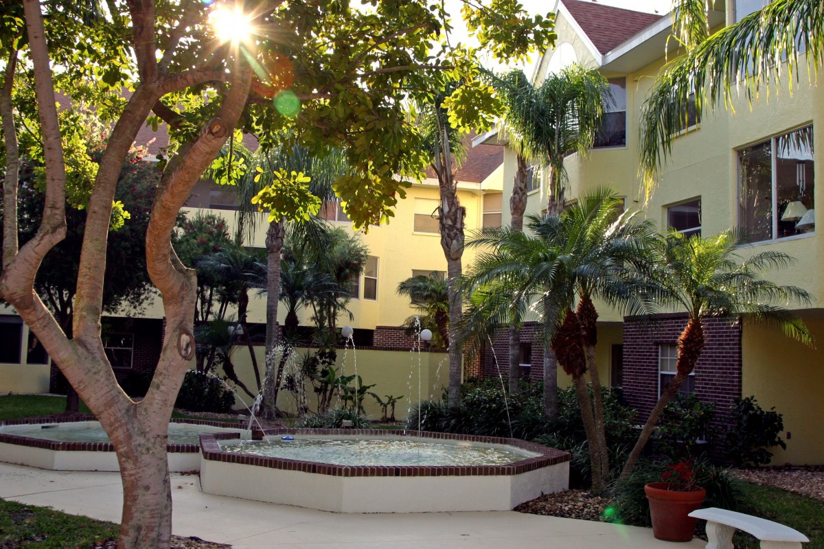 A serene courtyard with palm trees and sunlight casting shadows on the buildings.