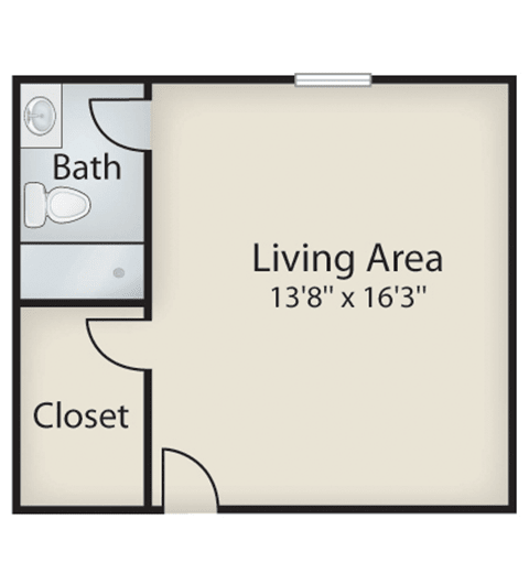 Studio apartment floor plan with a living area, bathroom, and closet.