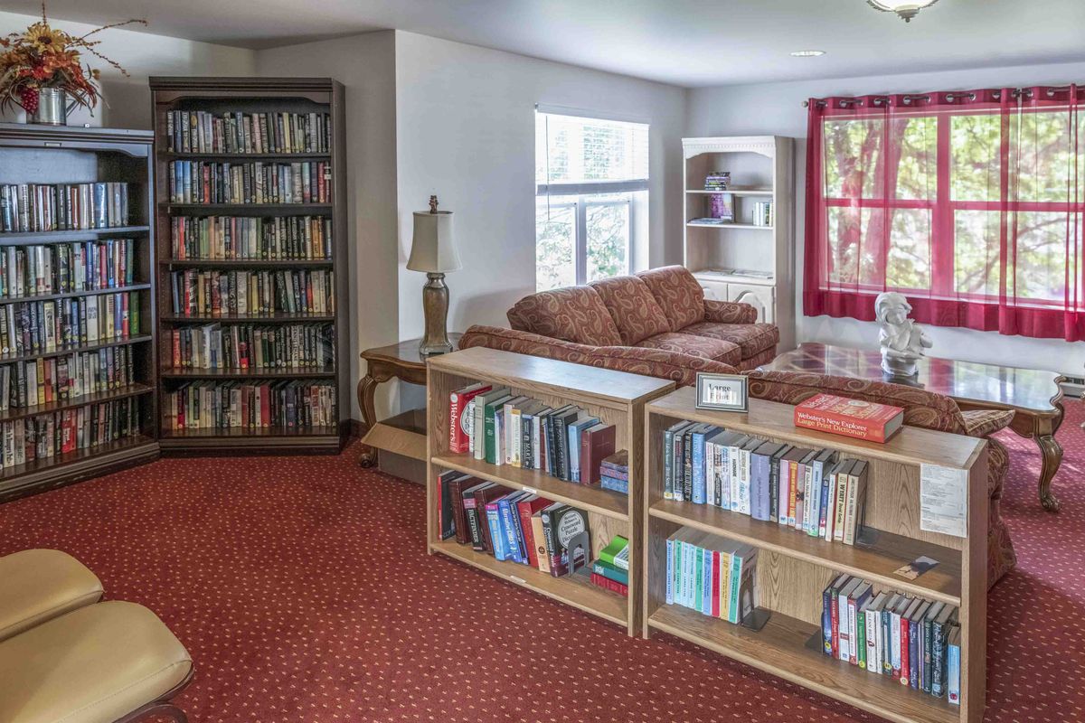 A cozy living room with bookshelves filled with various books, a sofa, and natural light from the windows.