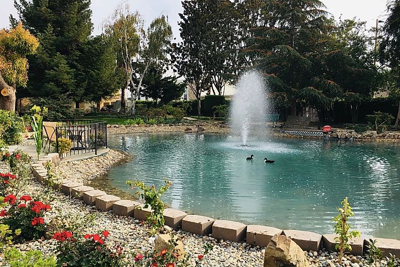 A serene park pond with a central fountain and surrounding greenery.