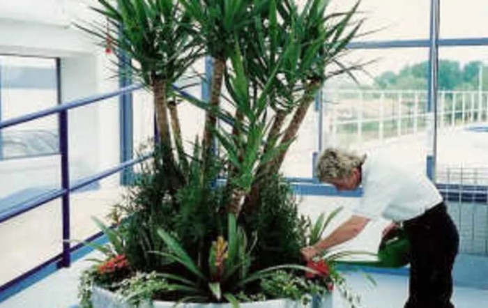 Bay Area Healthcare Center