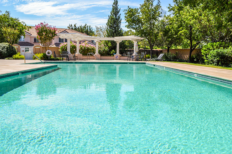 A serene outdoor swimming pool surrounded by trees and a clear sky.
