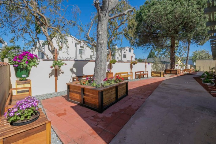 A sunny outdoor area with large planters and trees lining a paved walkway.
