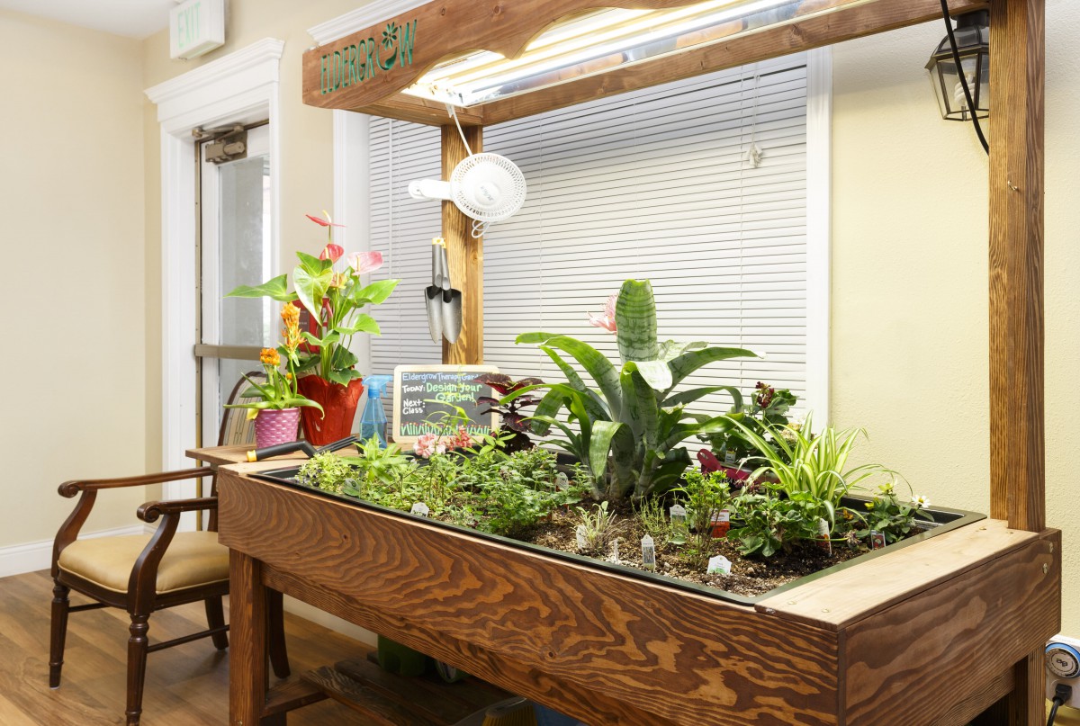 An indoor garden setup with various plants under grow lights on a wooden table.