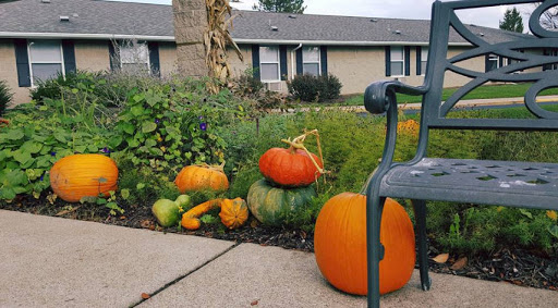 A vibrant display of pumpkins in a cozy garden, welcoming the autumn season.