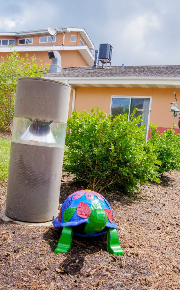 A colorful turtle sculpture sits next to an outdoor light in a garden with lush bushes and a house in the background.