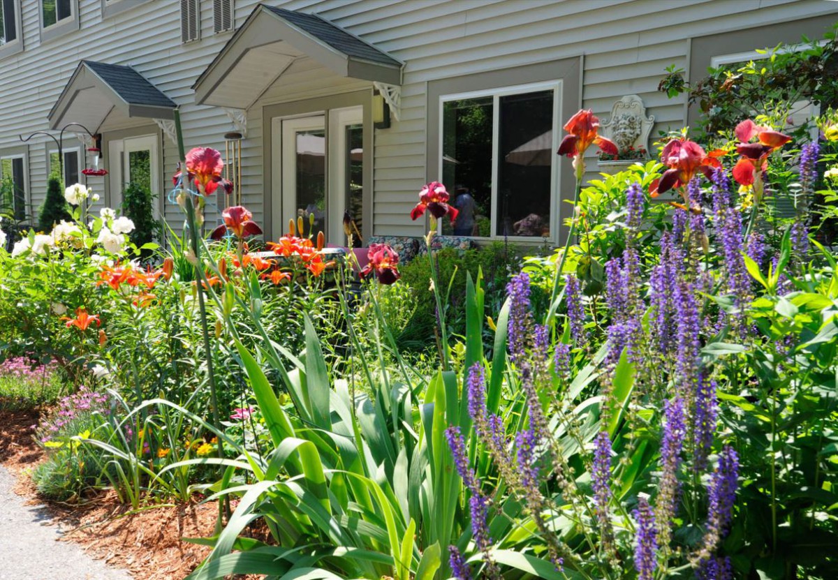 Briarwood Continuing Care