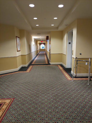 A well-lit hallway in a building featuring patterned carpet and doors on either side.