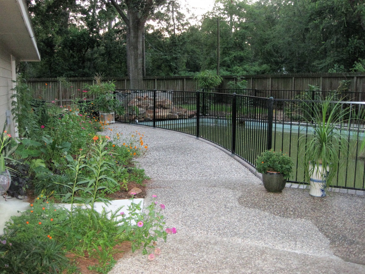 A garden pathway with plants and a black fence.