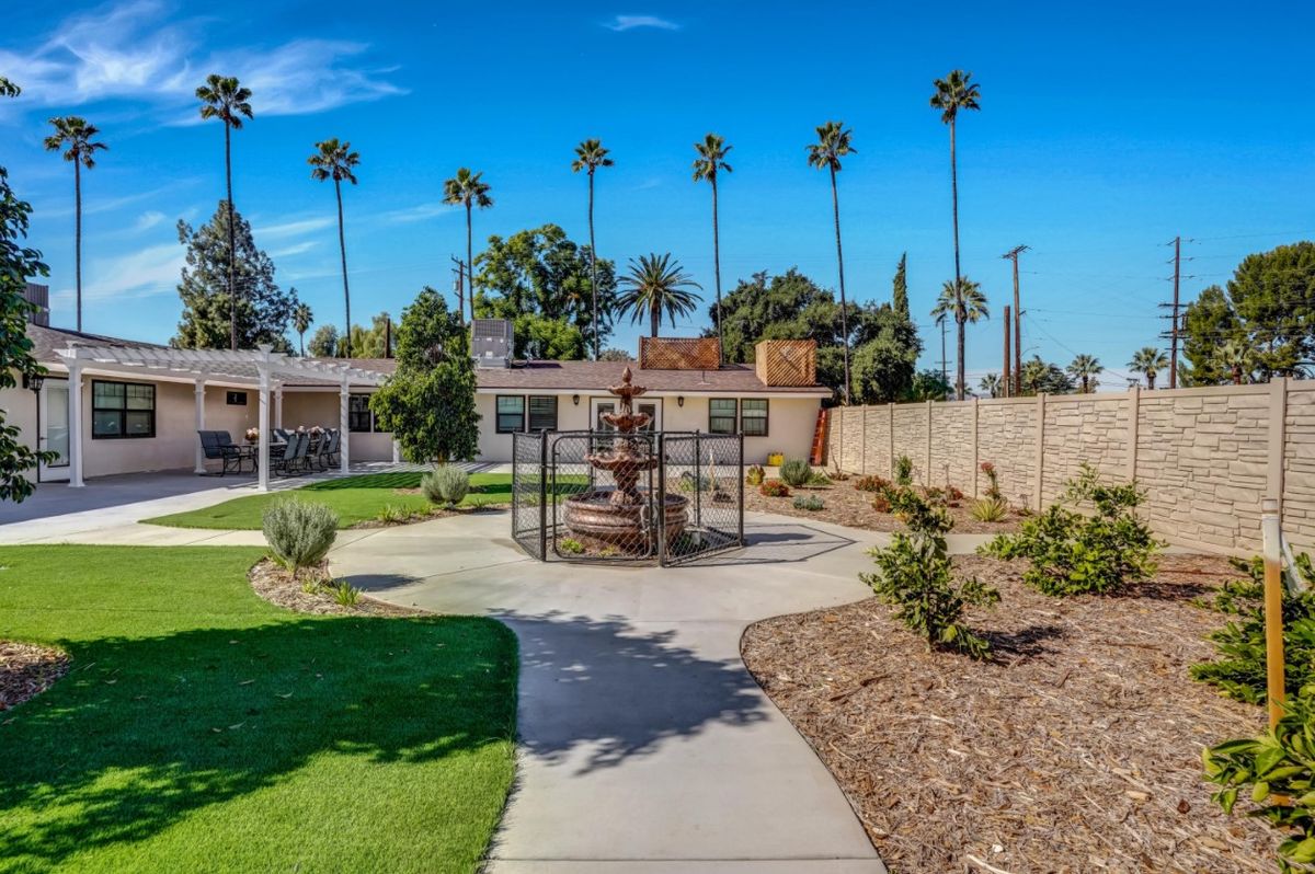 A sunny backyard garden with a pathway and palm trees.