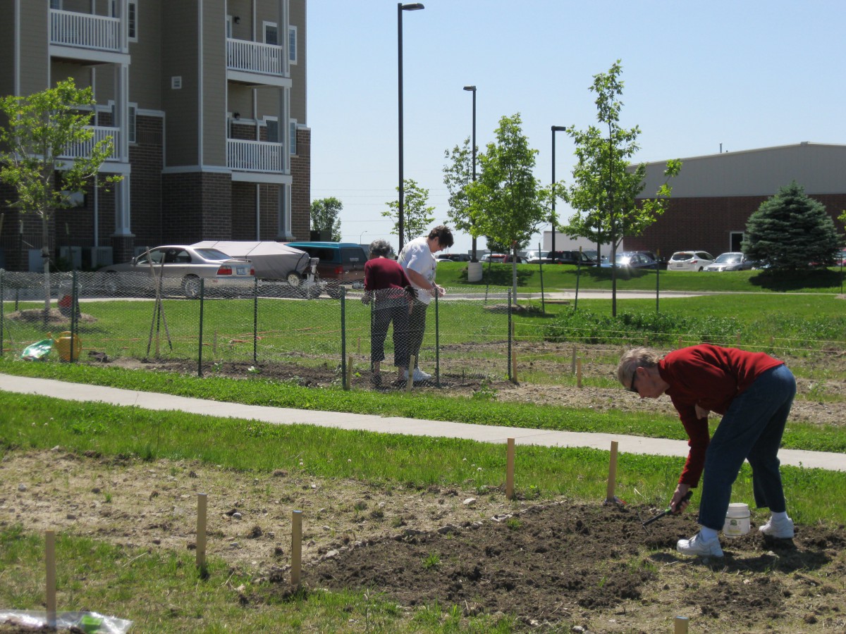 People working in a community garden in an urban area.