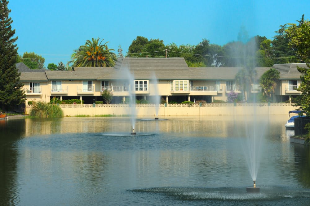 A serene view of fountains in a lake with a building and trees in the background.