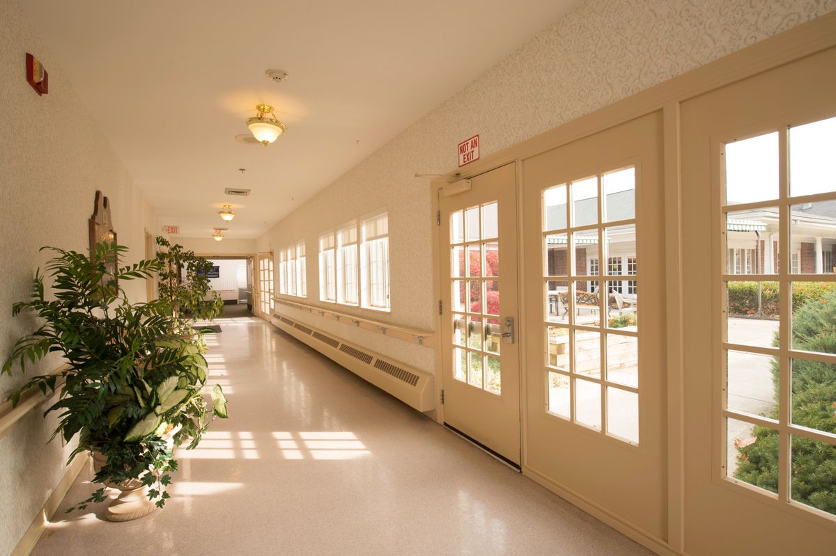 A sunlit hallway with large windows and double doors, adorned with plants.