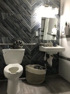 A bathroom with raccoons exploring the toilet, sink, and basket.