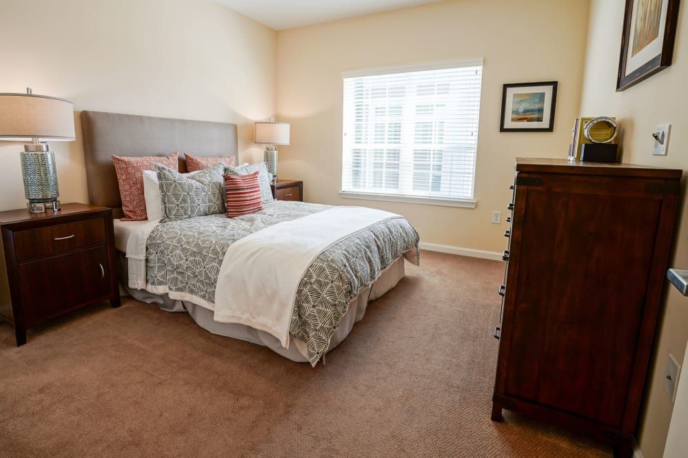 A cozy bedroom with a neatly made bed, featuring decorative pillows and a bedside lamp.