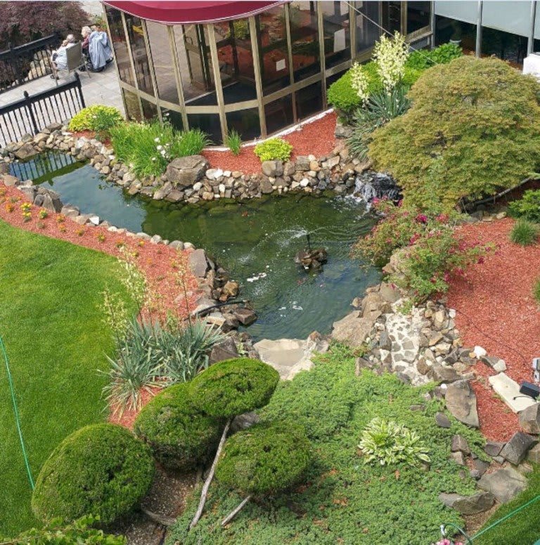 A beautifully landscaped garden with a pond and lush greenery surrounding it.