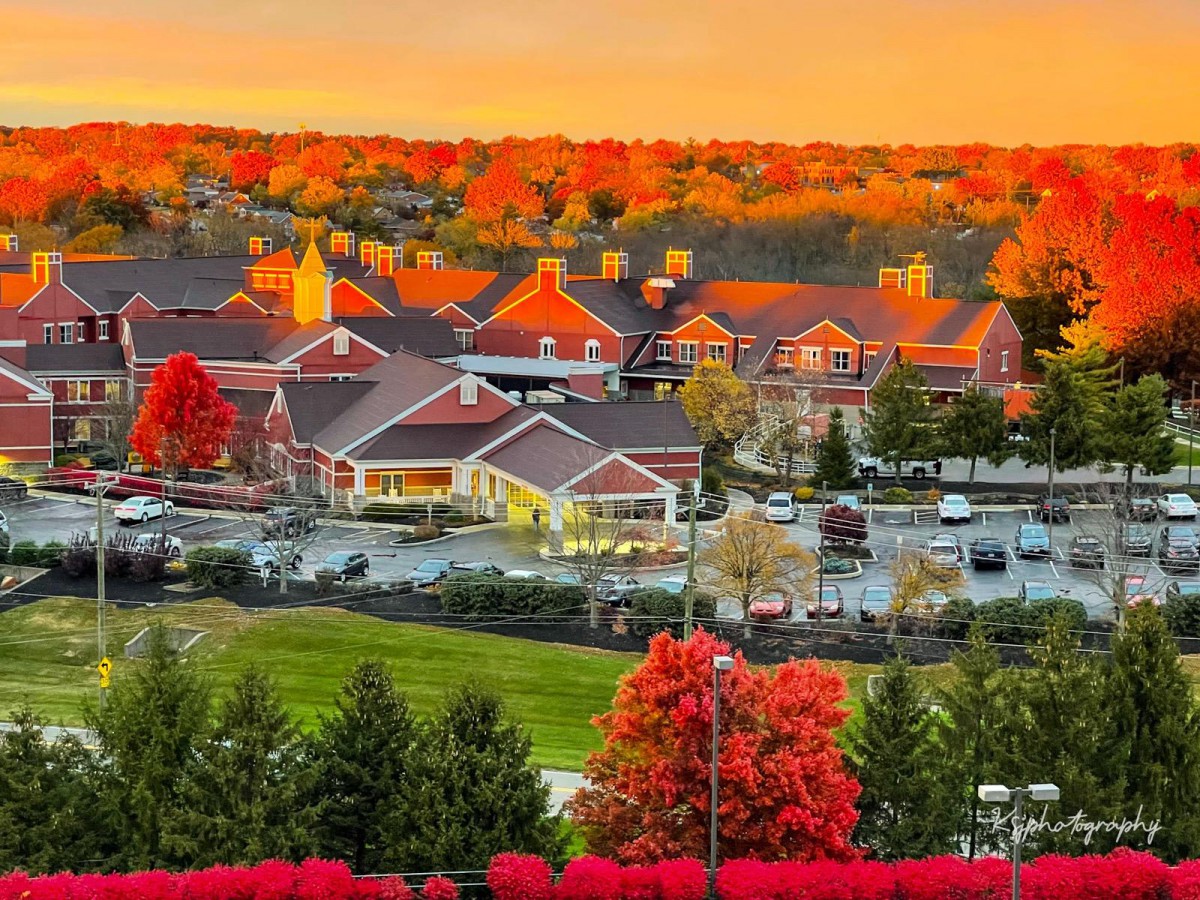 Bayley Senior Care