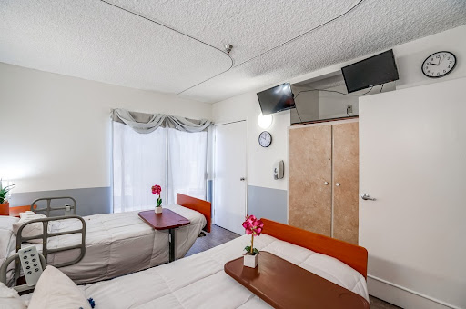 A bright and clean hospital room featuring two beds and a touch of decorative greenery.