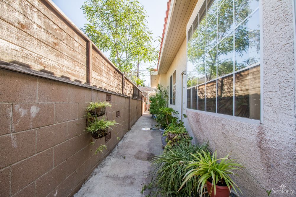 A narrow outdoor pathway lined with plants, adjacent to a house with large windows.