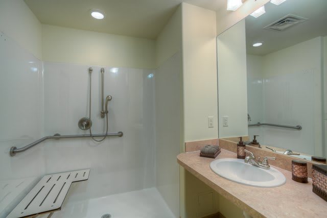 An accessible bathroom with a shower, handrails, and a sink area.