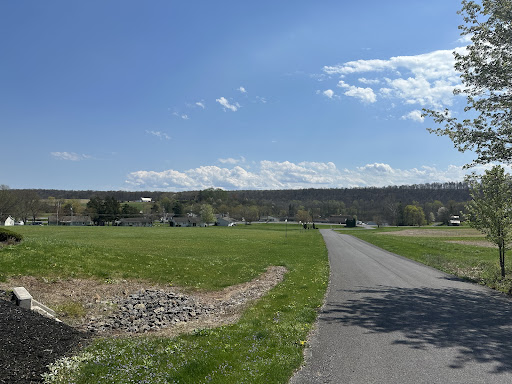 A serene park scene featuring a winding pathway under a clear blue sky.
