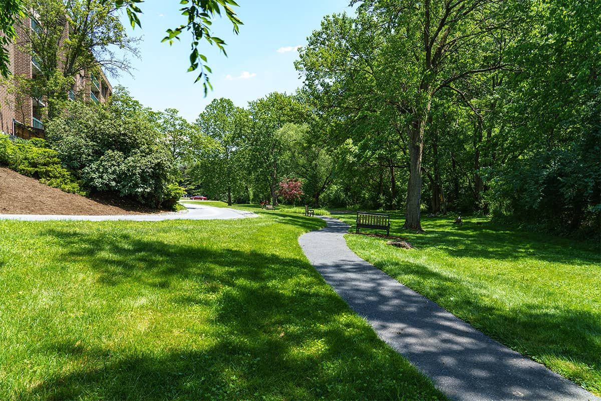 A sunny day in the park with a winding pathway surrounded by lush greenery.