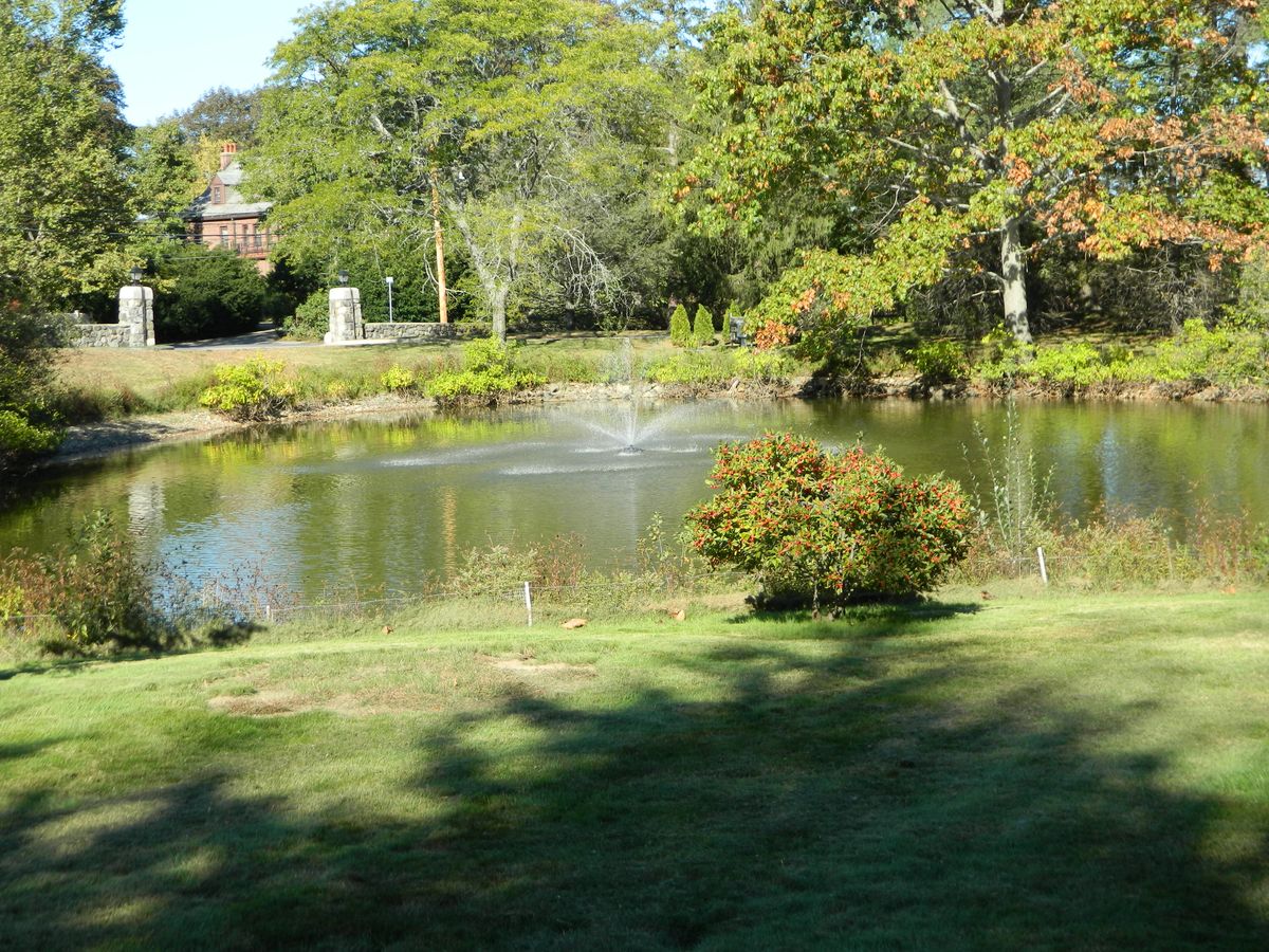 Youville Place