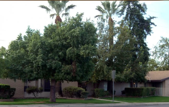 Desert Haven Care Center
