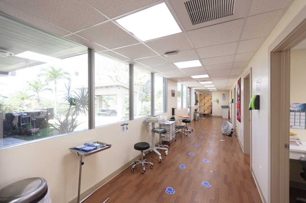 A modern clinic hallway featuring clean lines and ample natural light.