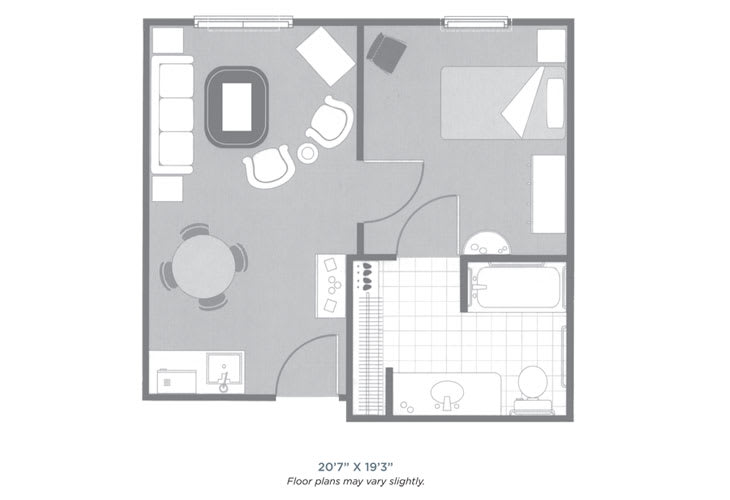 A floor plan of a one-bedroom apartment with a living area, kitchen, and bathroom.