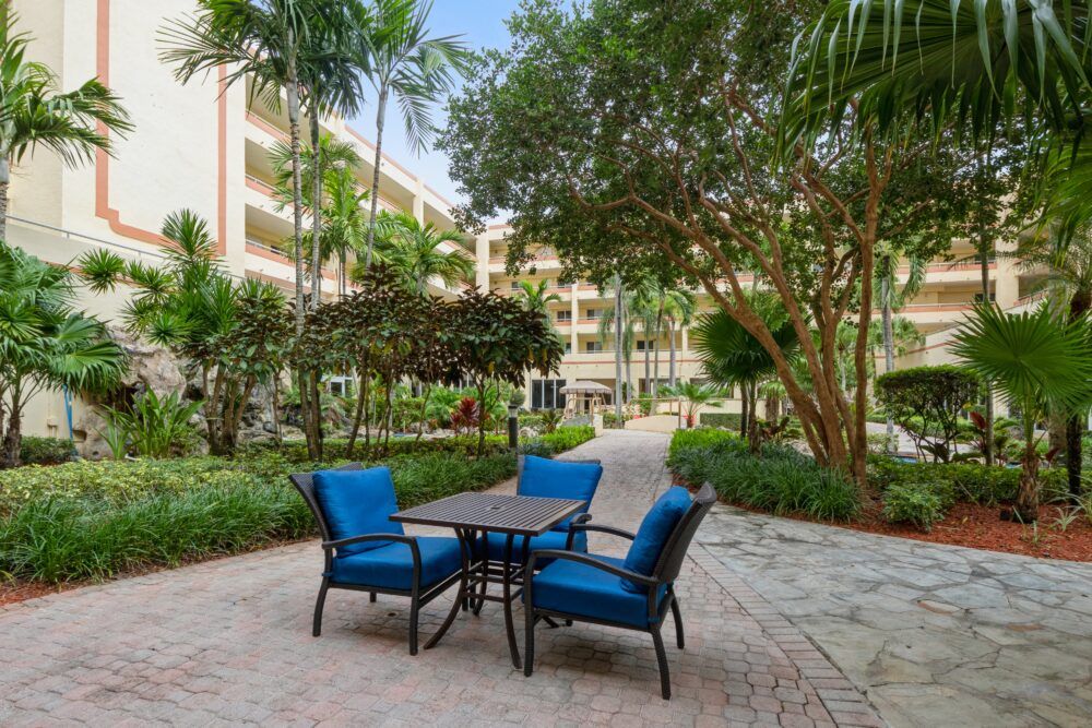 A tranquil outdoor seating area with blue-cushioned chairs surrounded by lush greenery and trees.