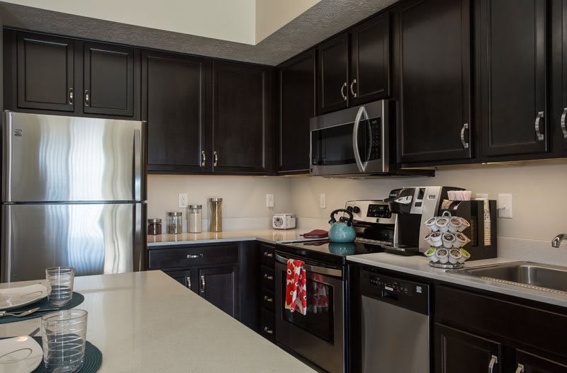 A modern kitchen with black cabinets and stainless steel appliances.