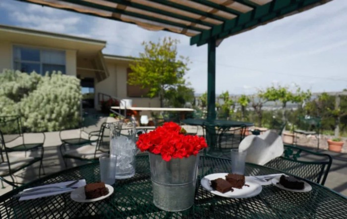 A sunny patio with a table set for dessert, featuring red flowers, cake slices, and water.