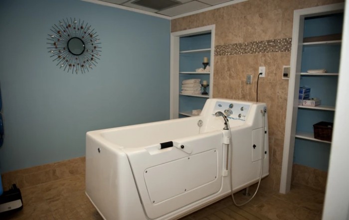 A spa-like bathroom with a modern walk-in bathtub.