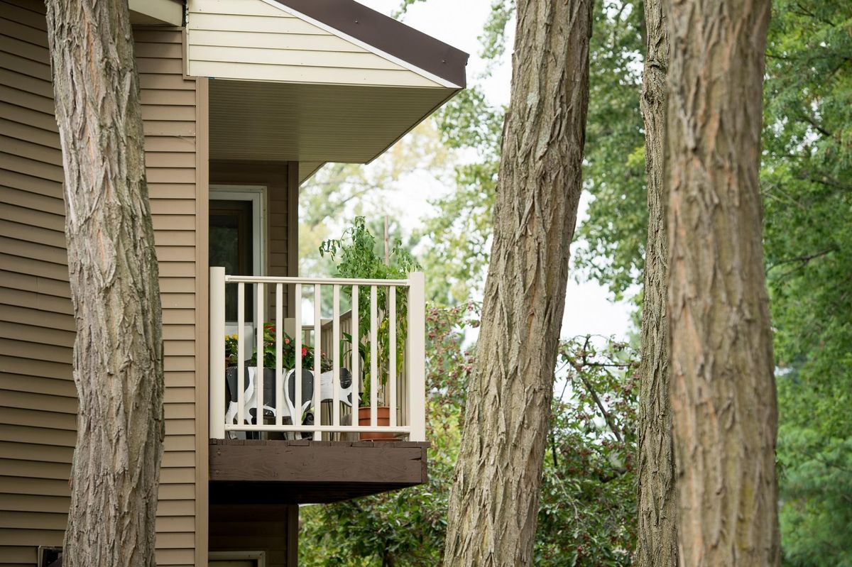 A cozy balcony surrounded by tall trees, offering a serene view of nature.