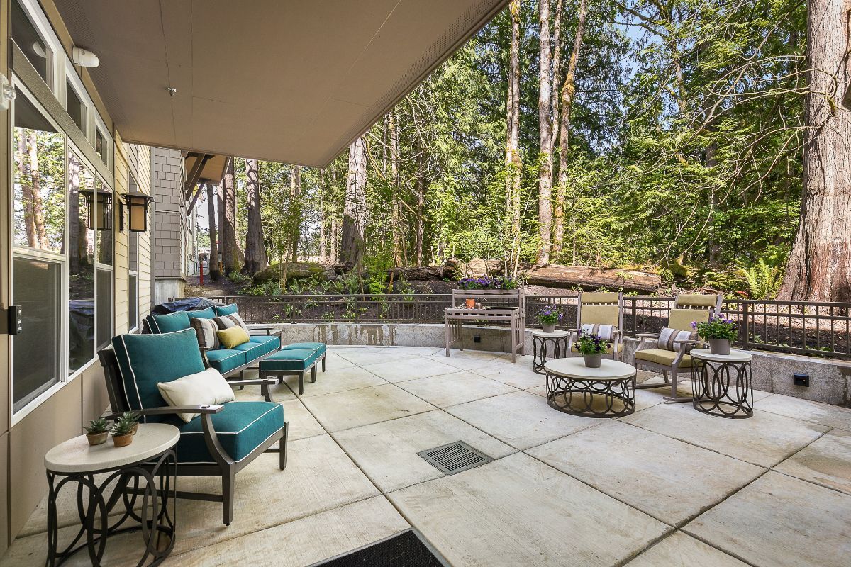 A cozy patio with comfortable outdoor seating, surrounded by a lush forest setting.