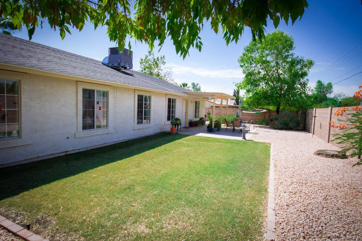 A sunny day in a residential backyard with a well-maintained lawn and trees.