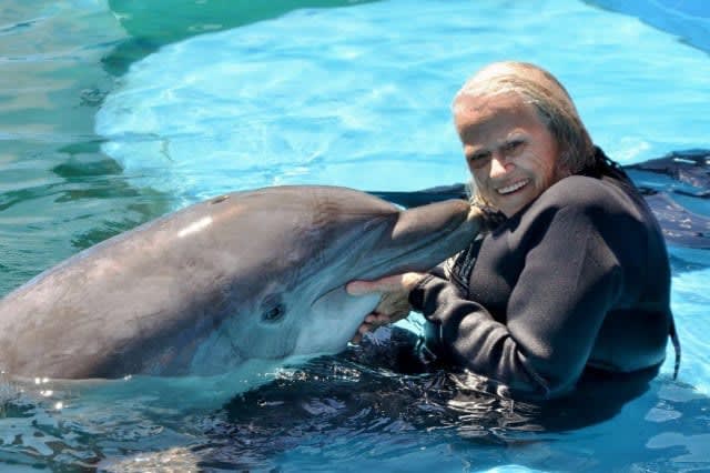 Person interacting with a dolphin in the water.