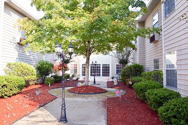 A beautifully landscaped courtyard with a tree in the center, surrounded by shrubs and a pathway.