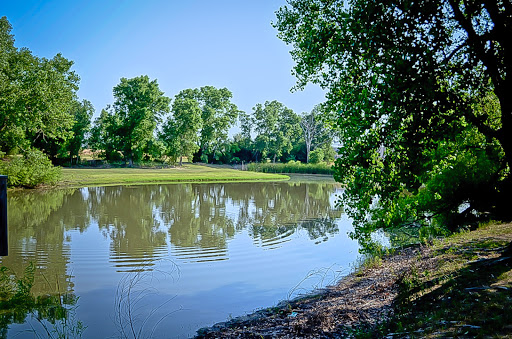 A serene river scene showcasing the reflection of trees on calm waters under a clear blue sky.