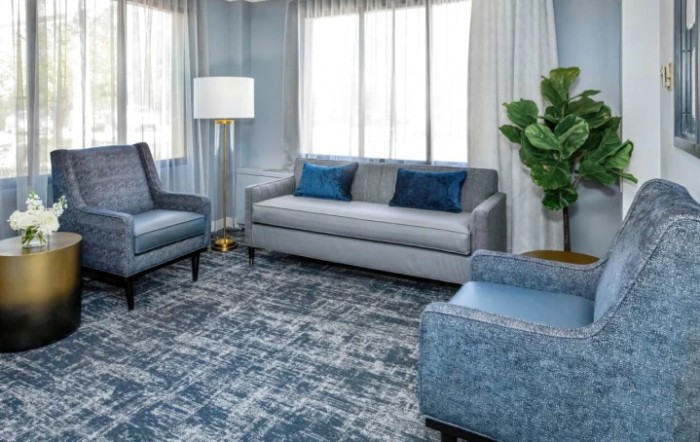 A modern living room with a gray sofa, armchairs, and a floor lamp, complemented by an area rug and house plant.