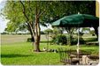 Carol Ann's Home - Hilton Head