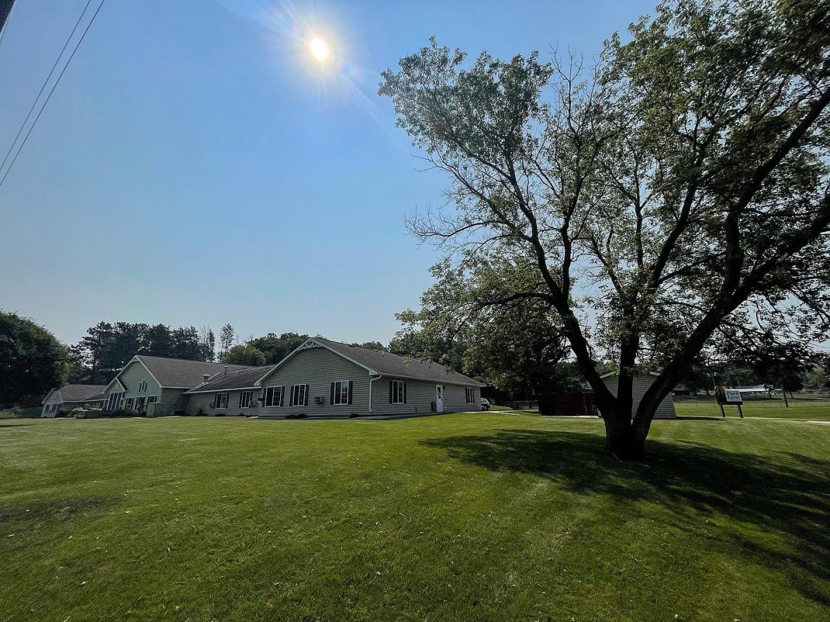 A sunny day with a clear sky over a house and a large tree in the foreground.
