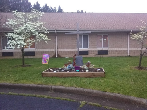 A peaceful garden area with a flowering tree and decorative stones in front of a building.