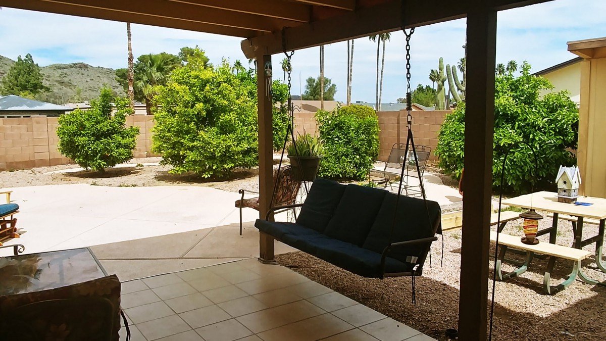 A peaceful outdoor patio with a swing seat and lush garden surroundings.