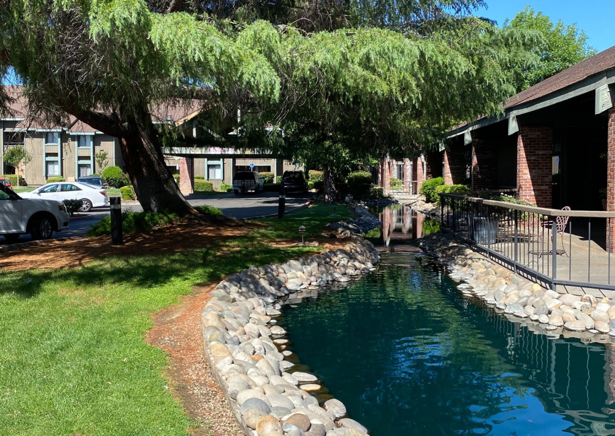 A serene garden landscape featuring a pond surrounded by lush greenery and trees.
